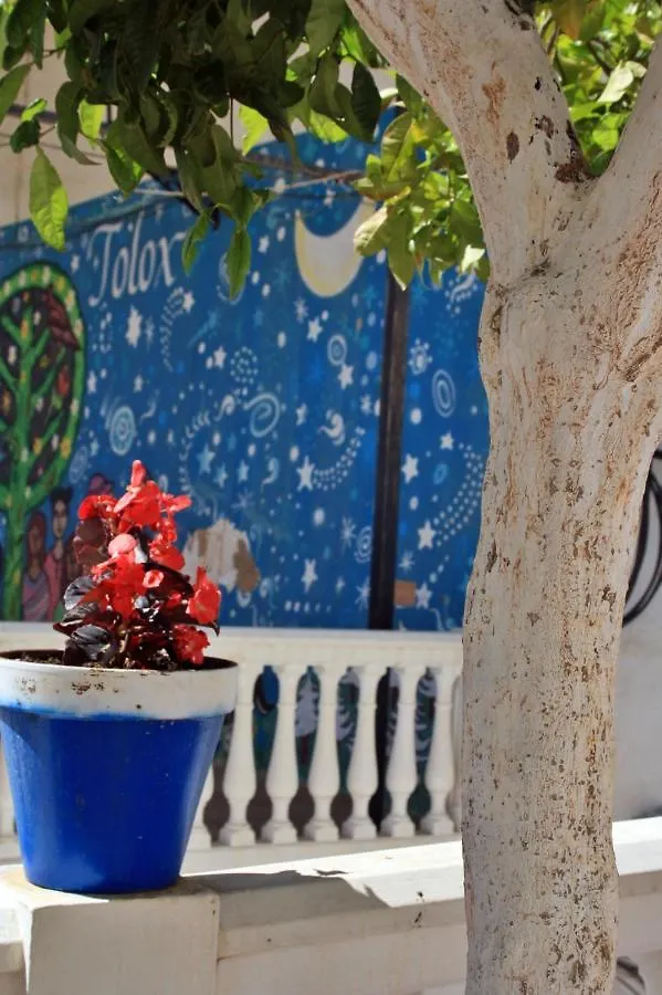 Casa Pepe La Rosa Atico Apartment Tolox Spain