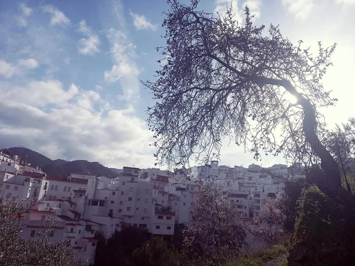Apartmán Casa Pepe La Rosa Atico Tolox